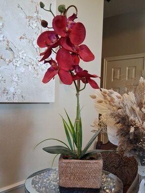 Red Artificial Orchid Plant in Woven Accents Stone Square Pot - Home Decoration
